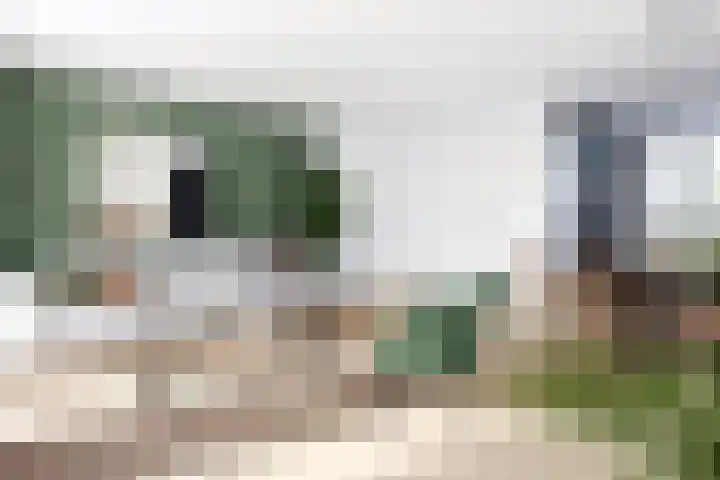 Horsterveste 10 Nieuwegein thumbnail 7