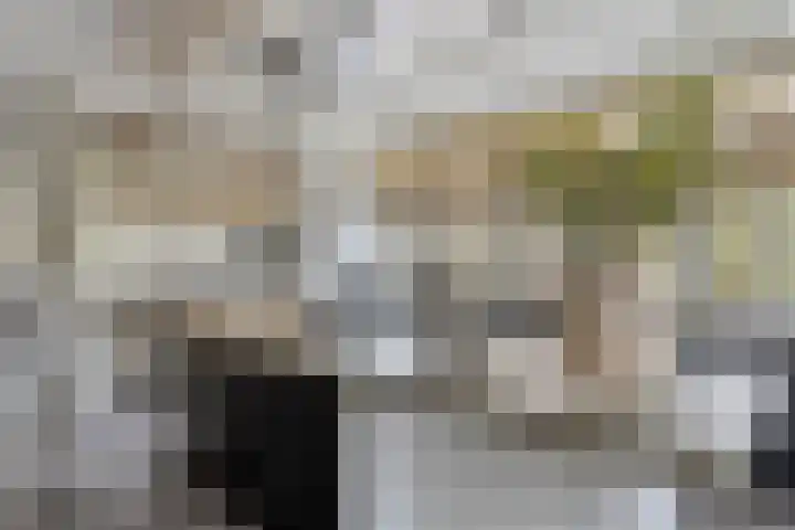 Horsterweg 14 Stoutenburg thumbnail 11