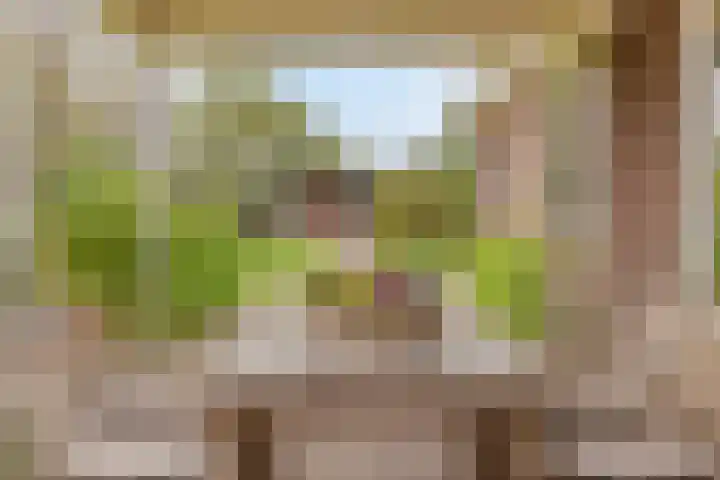 Horsterweg 14 Stoutenburg thumbnail 16