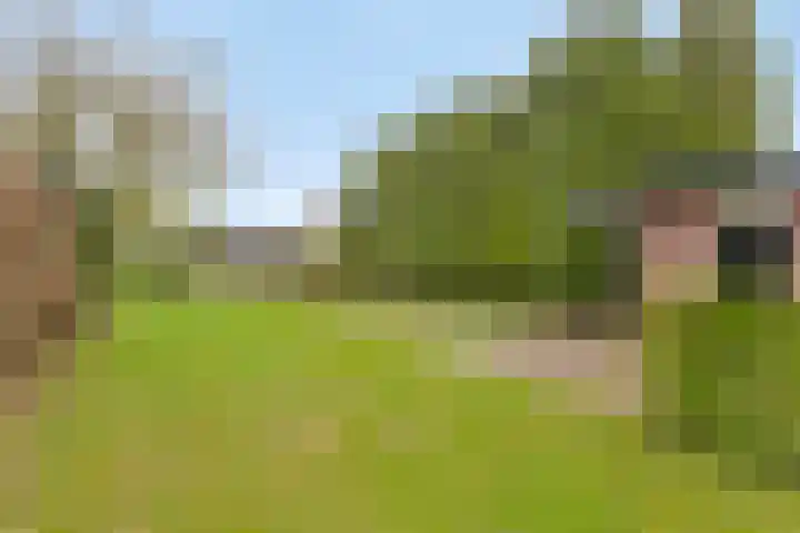 Horsterweg 14 Stoutenburg thumbnail 29