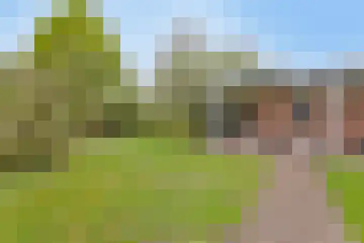 Horsterweg 14 Stoutenburg thumbnail 30