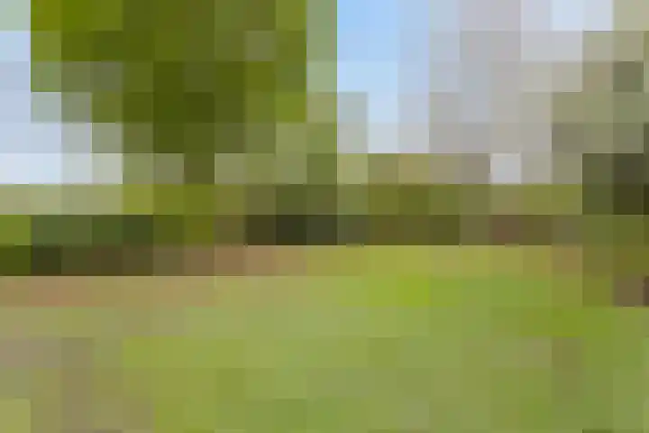Horsterweg 14 Stoutenburg thumbnail 31