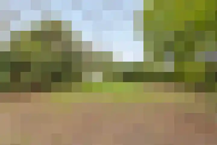 Horsterweg 14 Stoutenburg thumbnail 32