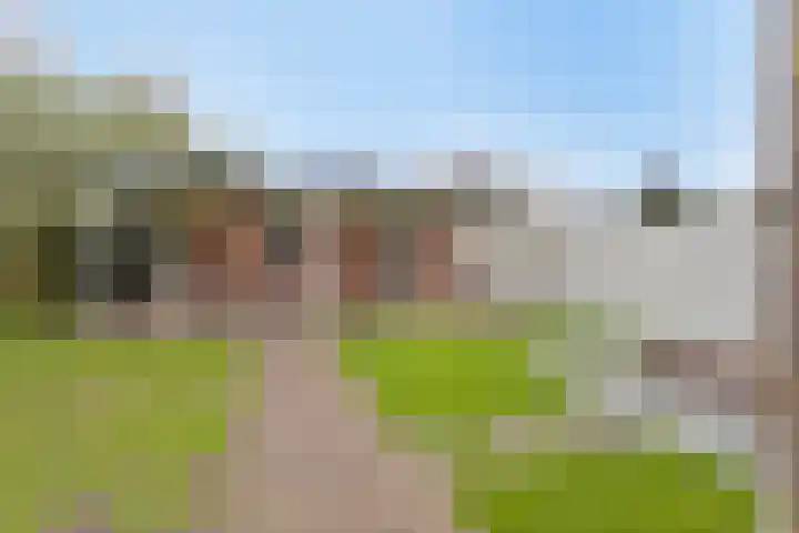 Horsterweg 14 Stoutenburg thumbnail 33