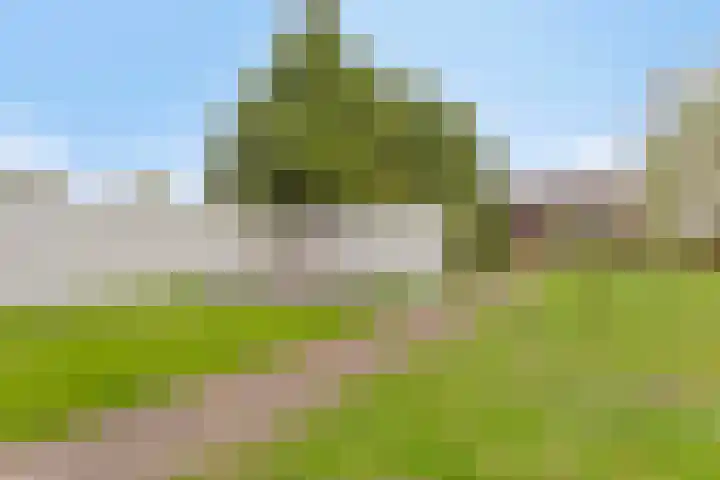 Horsterweg 14 Stoutenburg thumbnail 36