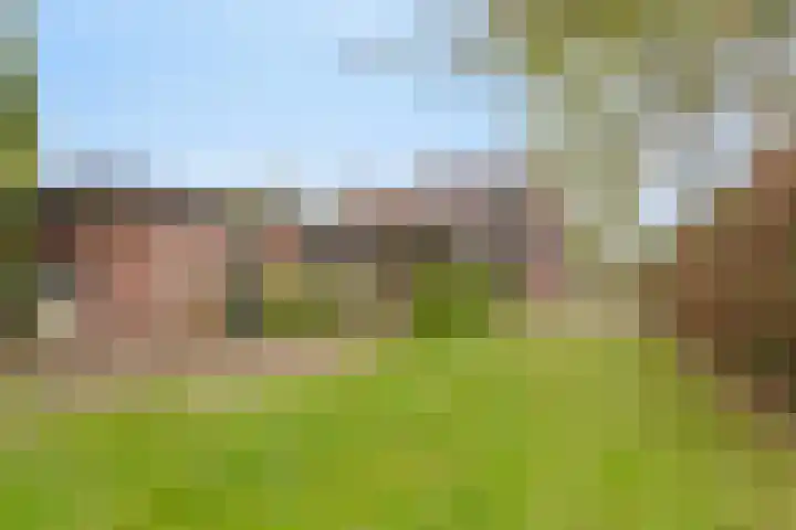 Horsterweg 14 Stoutenburg thumbnail 38