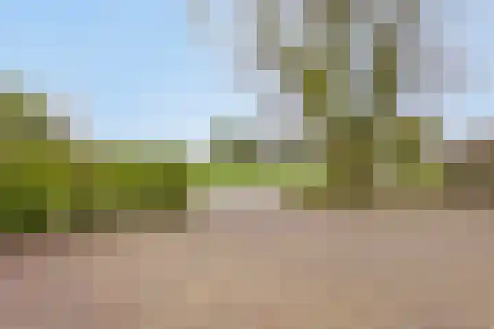 Horsterweg 14 Stoutenburg thumbnail 41