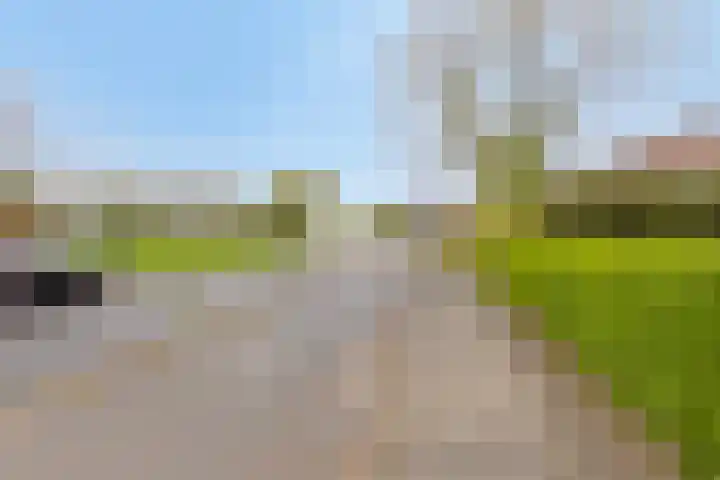 Horsterweg 14 Stoutenburg thumbnail 42