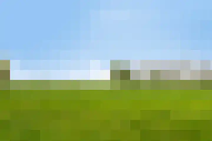 Horsterweg 14 Stoutenburg thumbnail 43