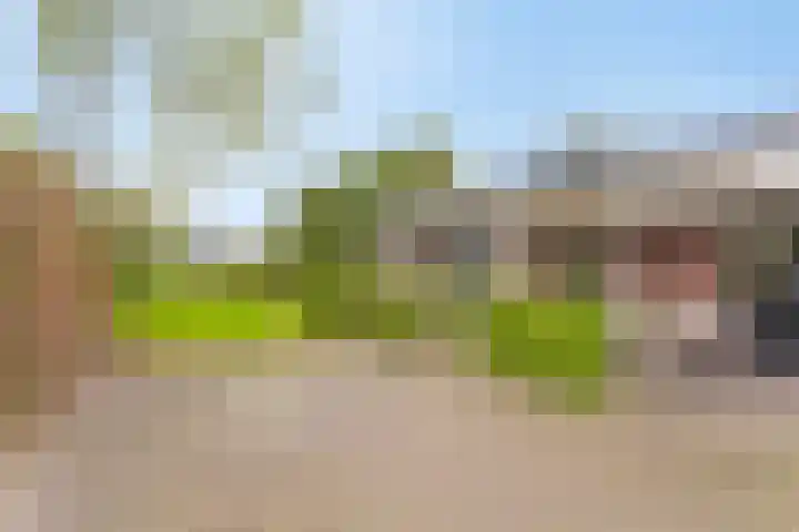 Horsterweg 14 Stoutenburg thumbnail 47
