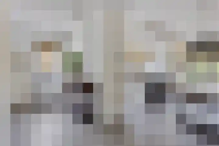 Horsterweg 14 Stoutenburg thumbnail 9