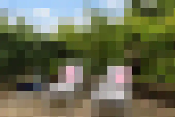 Horsterweg 147 Ermelo thumbnail 36