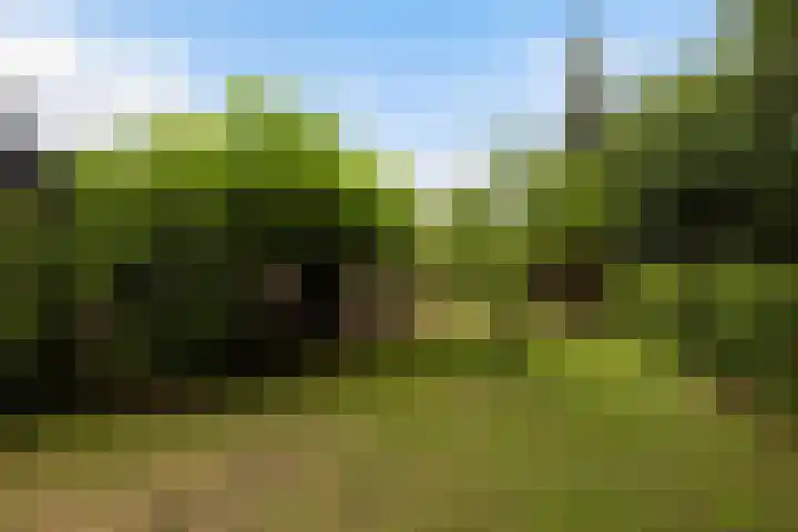 Horsterweg 147 Ermelo thumbnail 42