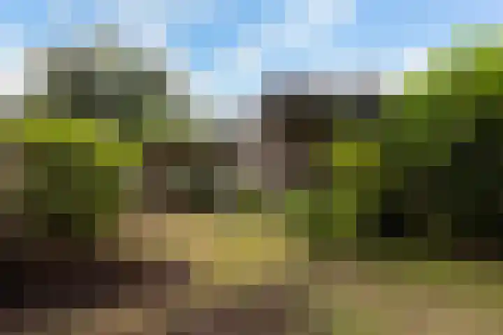 Horsterweg 147 Ermelo thumbnail 46