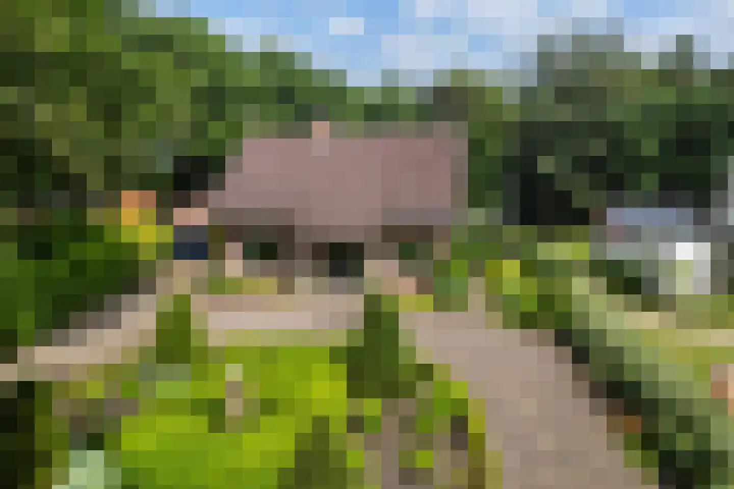 Horsterweg 154 Ermelo thumbnail 67