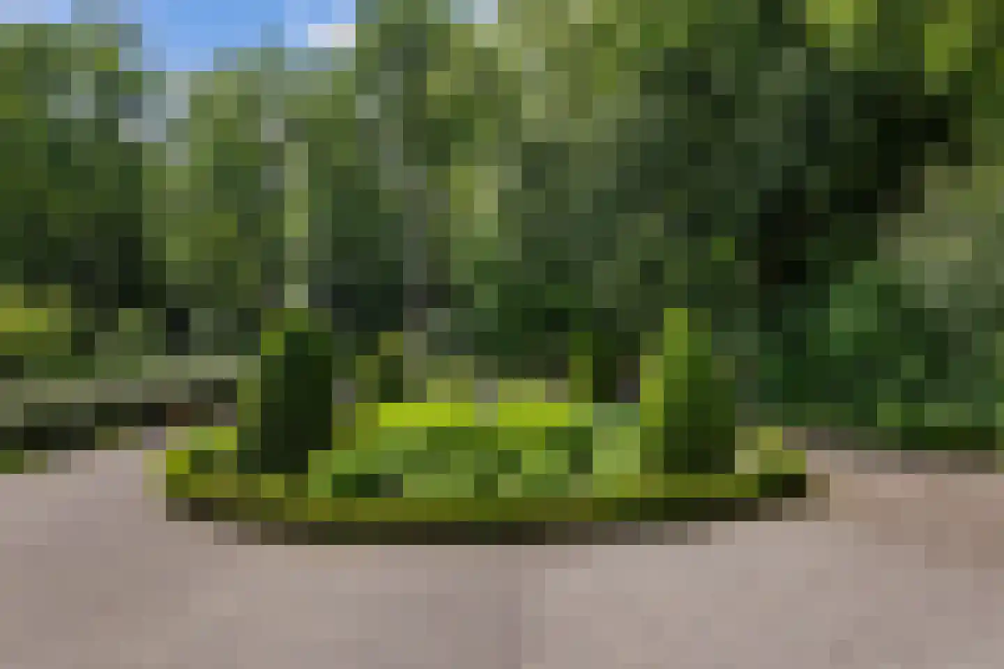 Horsterweg 154 Ermelo thumbnail 71