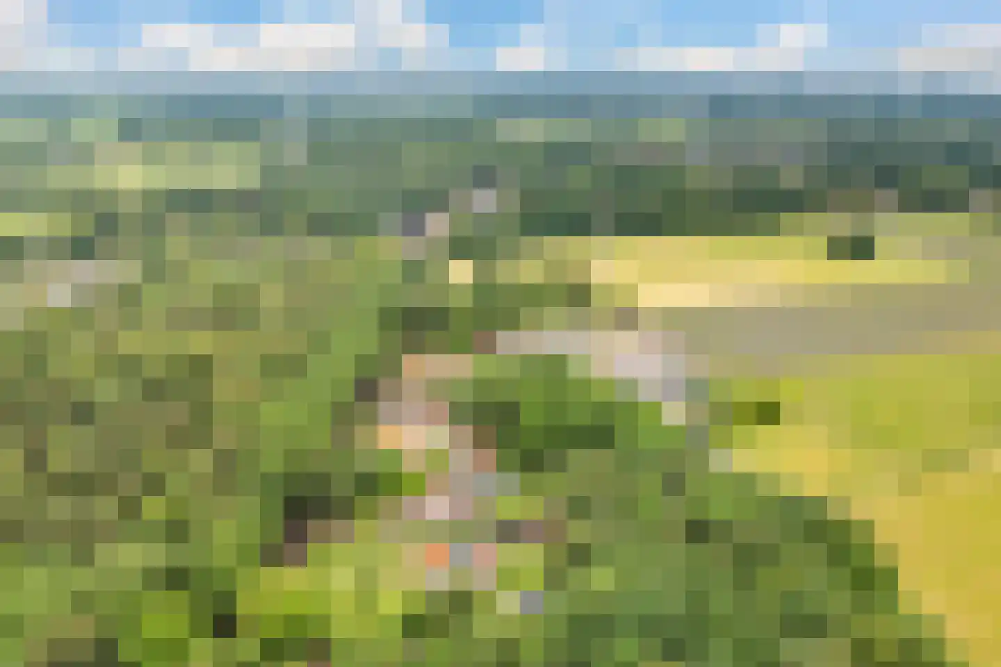 Horsterweg 154 Ermelo thumbnail 73