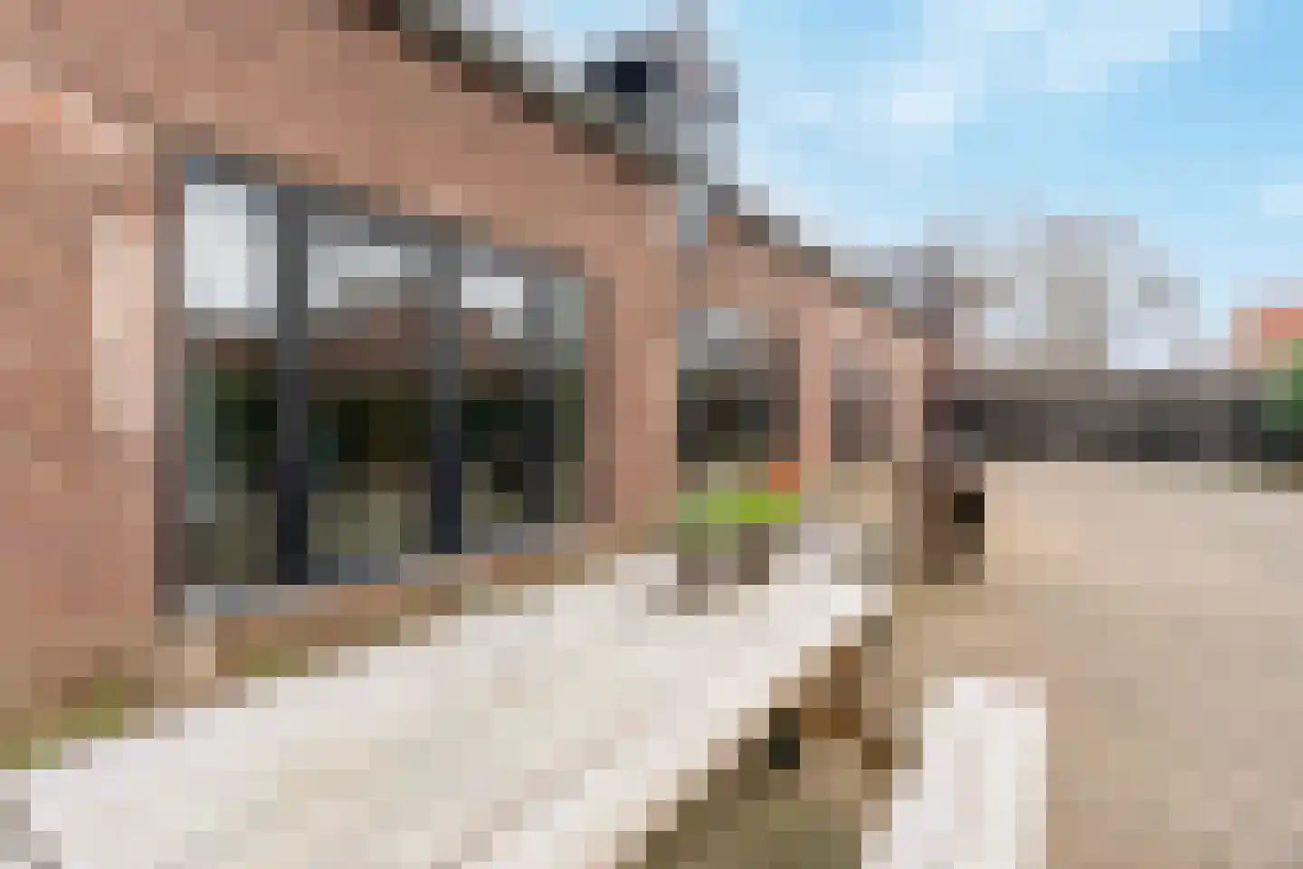 Horsterweg 179 Venlo thumbnail 34