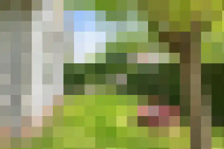 Horsterweg 215 Ermelo thumbnail 31