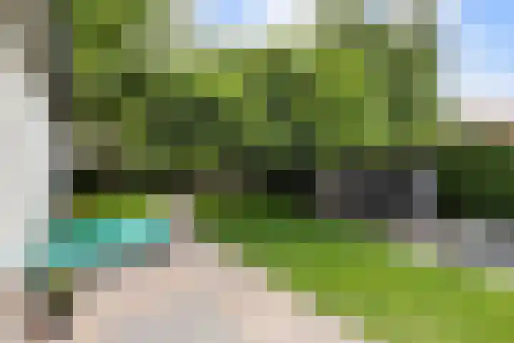 Horsterweg 215 Ermelo thumbnail 36