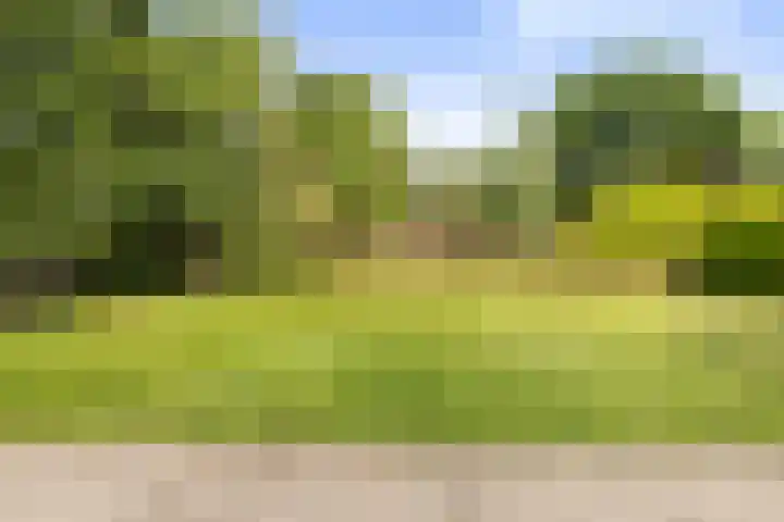 Horsterweg 215 Ermelo thumbnail 49