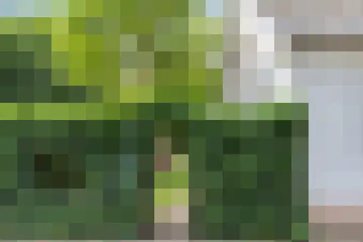 Horsterweg 215 Ermelo thumbnail 5