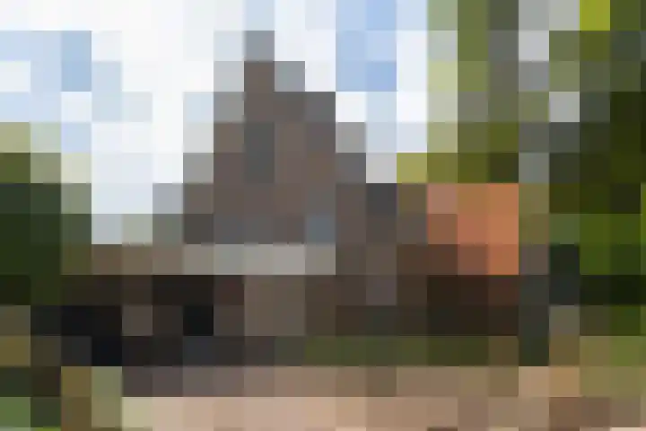 Horsterweg 23 Ermelo thumbnail 4