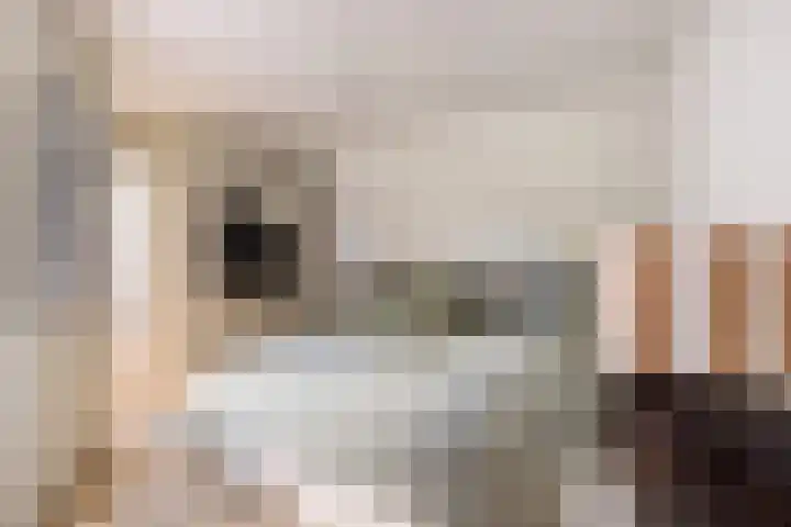 Horsterweg 23 Ermelo thumbnail 46