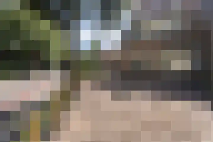 Horsterweg 23 Ermelo thumbnail 6