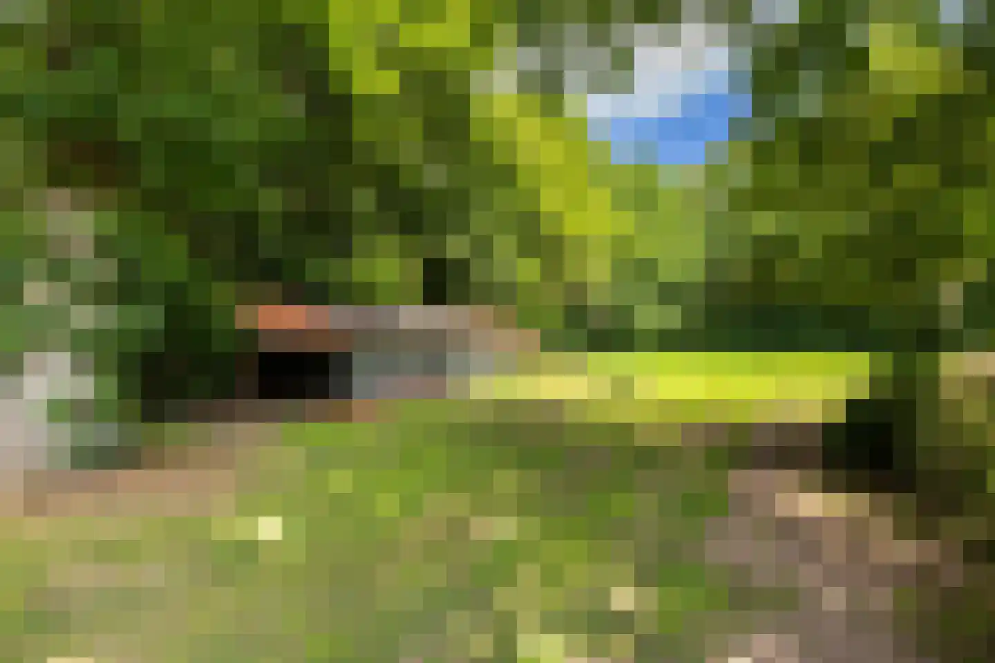 Horsterweg 267 A Ermelo thumbnail 27