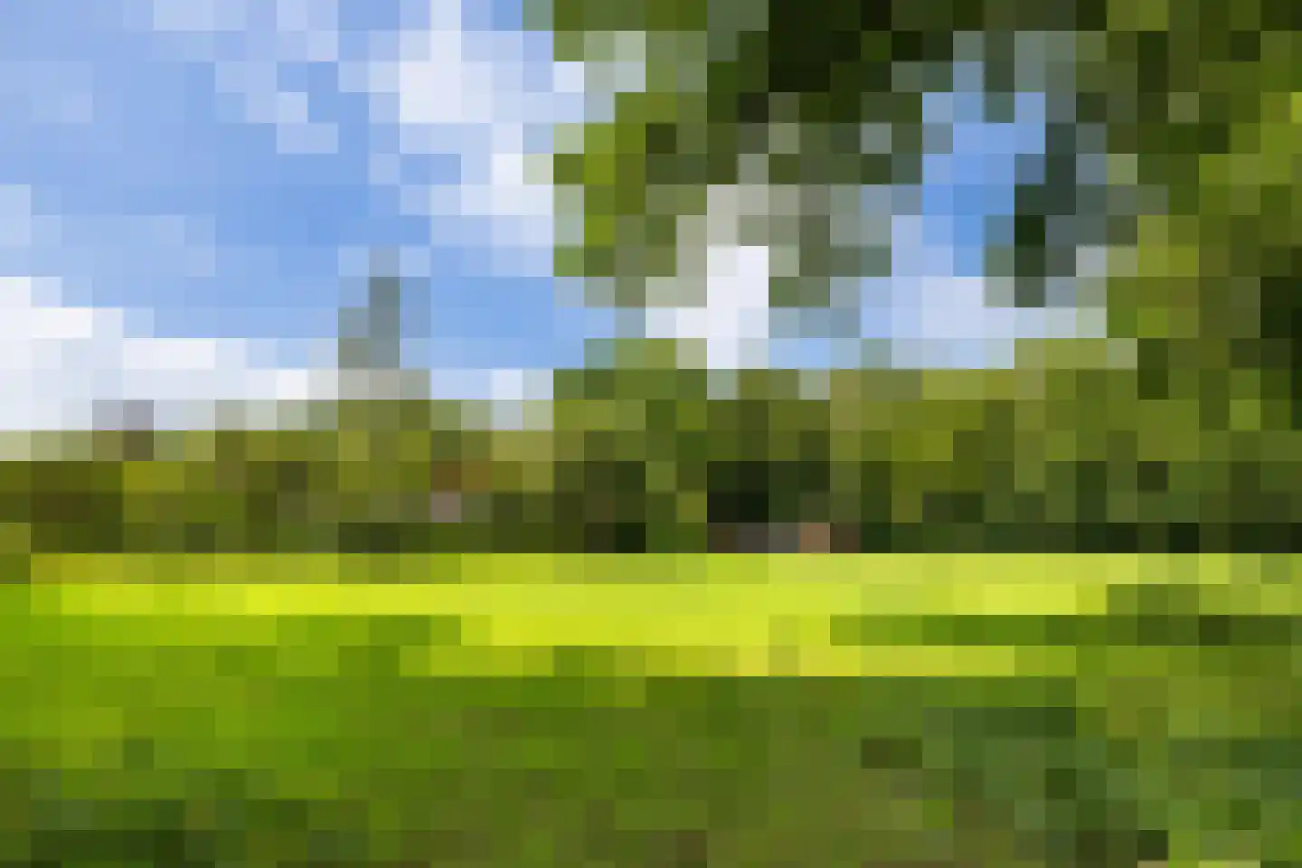 Horsterweg 267 A Ermelo thumbnail 29