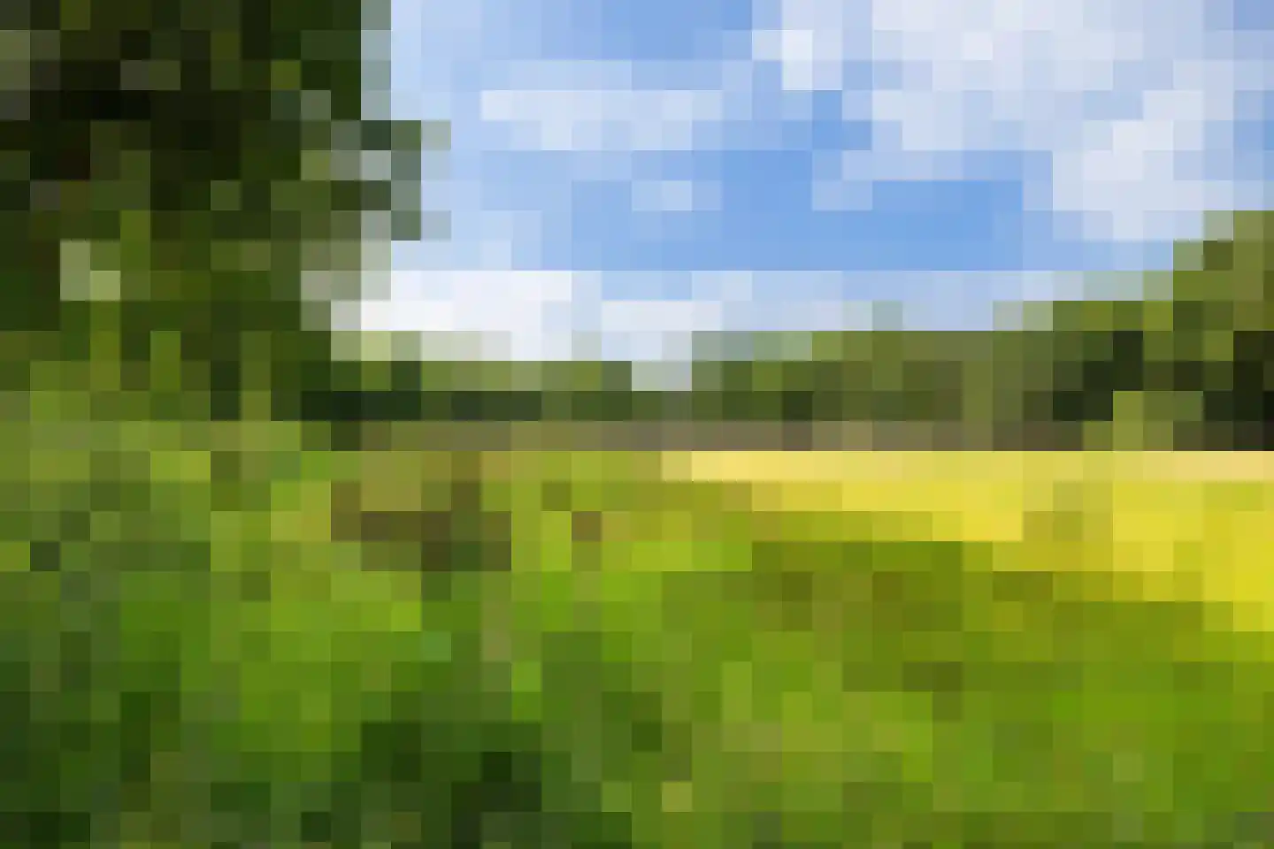 Horsterweg 267 A Ermelo thumbnail 31