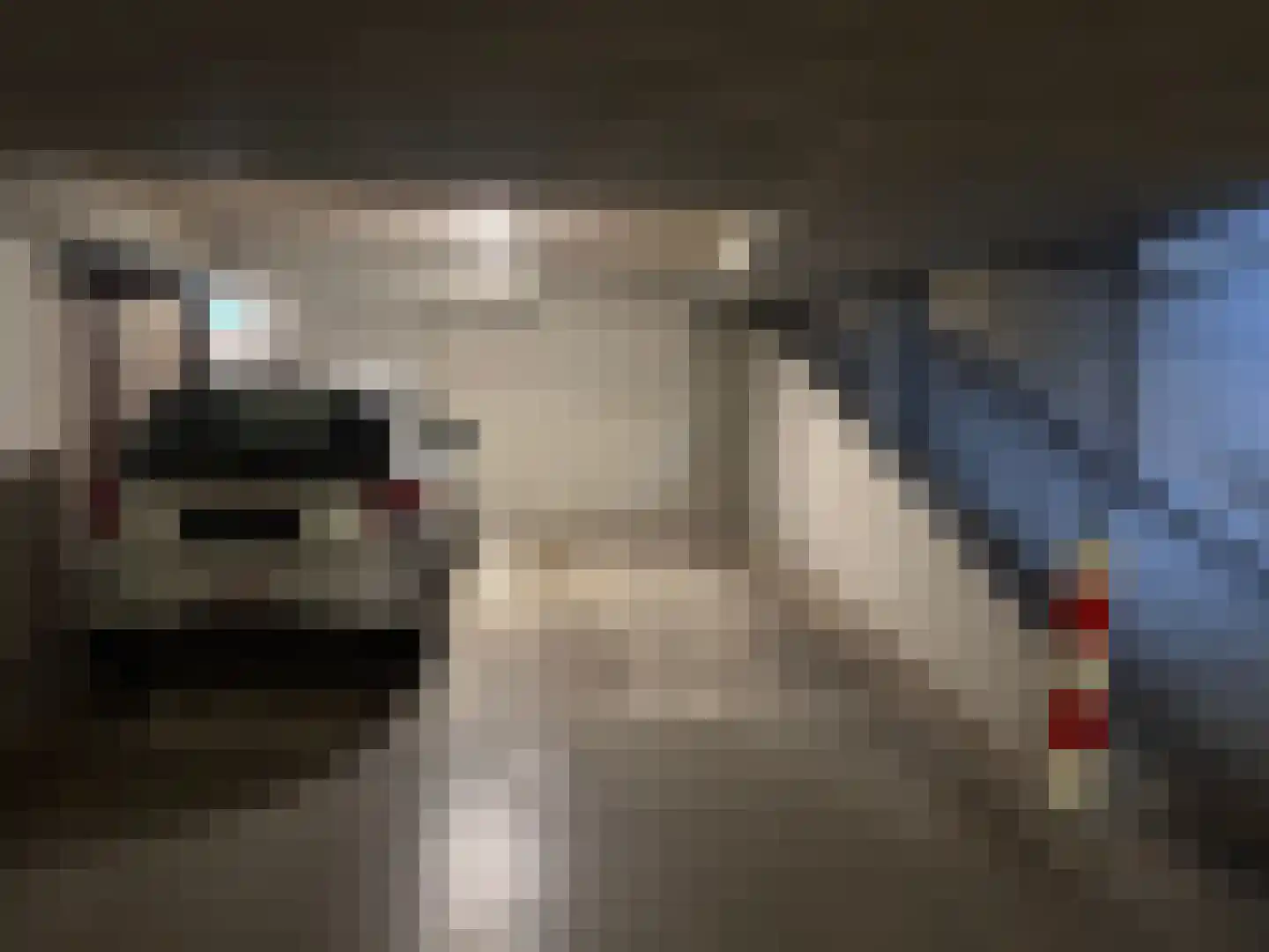 Horsterweg 5 Ermelo thumbnail 4