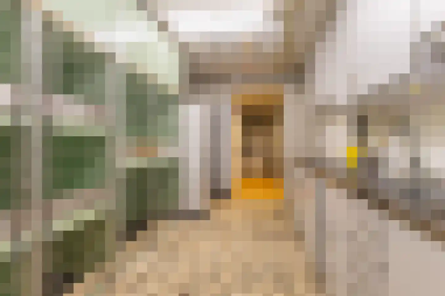Horsterweg 66 A Ermelo thumbnail 22