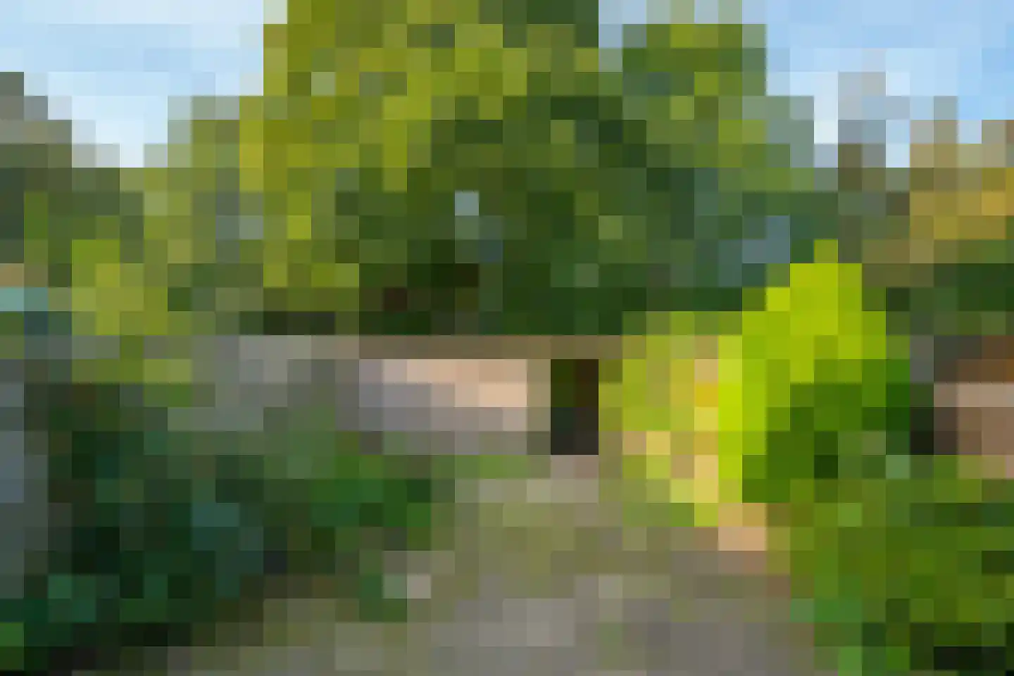 Horstingstraat 13 Doetinchem thumbnail 34