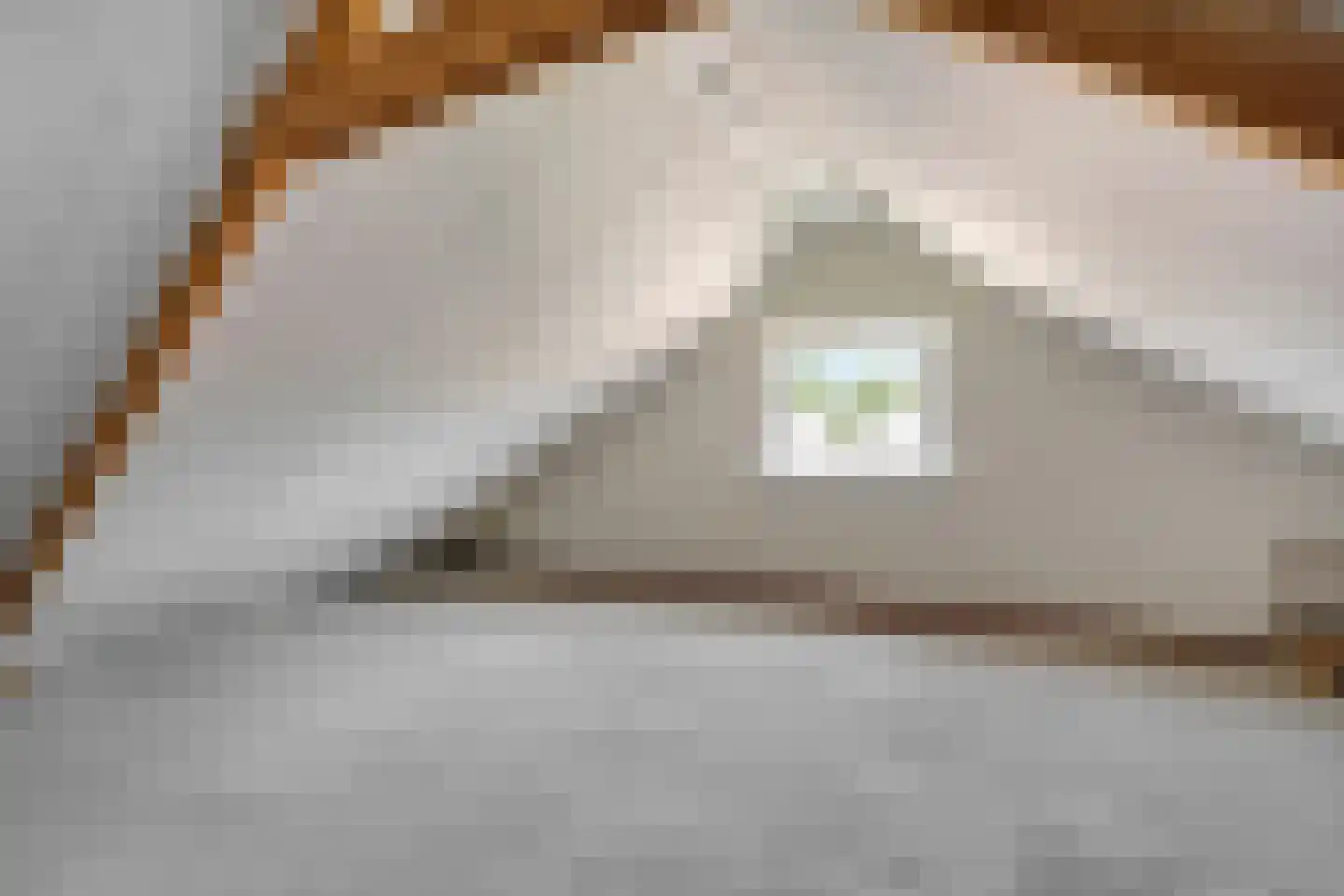 Horstinksteeg 11 Enter thumbnail 18