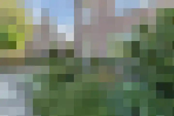 Horstlaan 16 Bodegraven thumbnail 6