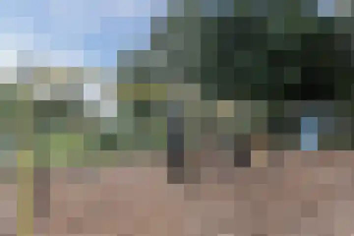Horstlaan 16 Bodegraven thumbnail 68
