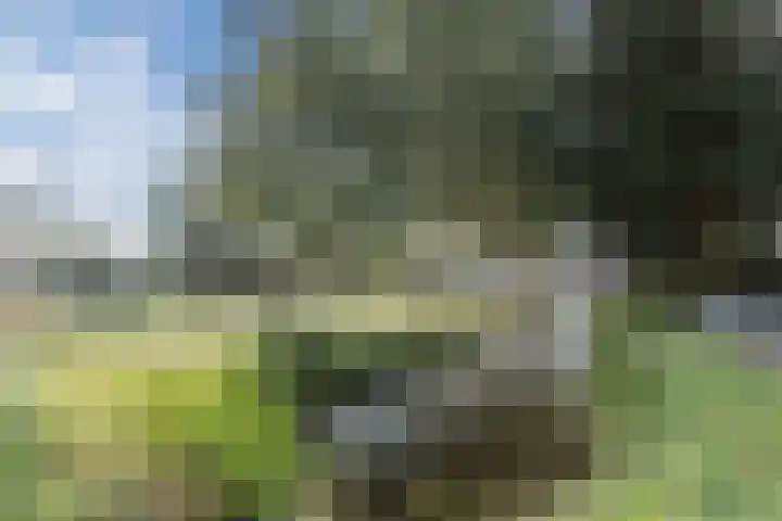 Horstlaan 16 Bodegraven thumbnail 69