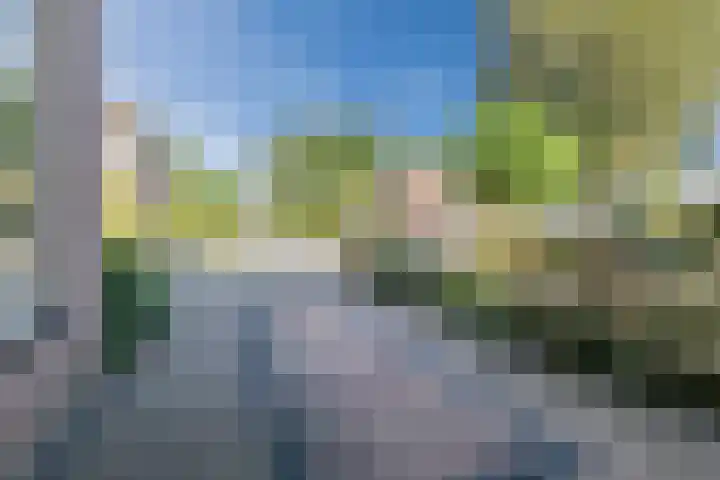 Horstlaan 16 Bodegraven thumbnail 8
