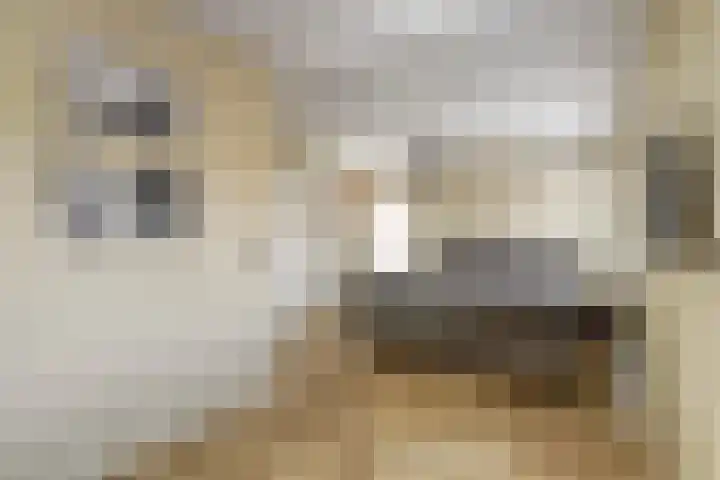 Horstlaan 26 Almelo thumbnail 13