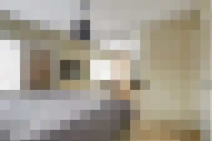 Horstlaan 26 Almelo thumbnail 14