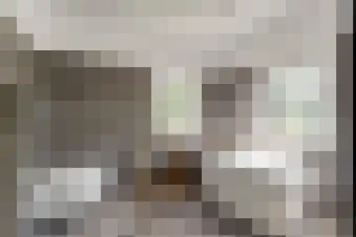 Horstlaan 26 Almelo thumbnail 17