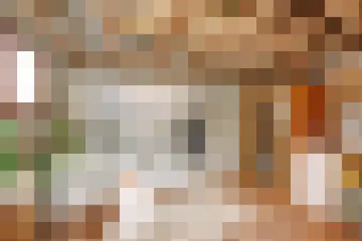 Horstlaan 26 Almelo thumbnail 24