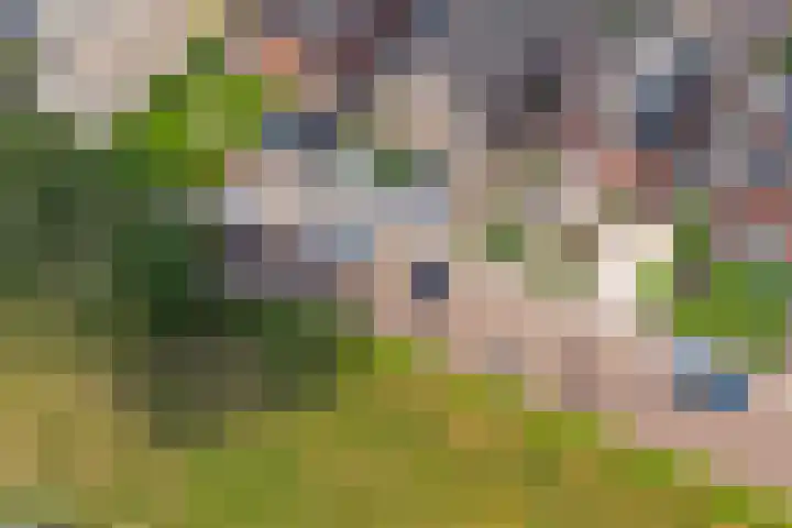 Horstlaan 26 Almelo thumbnail 30