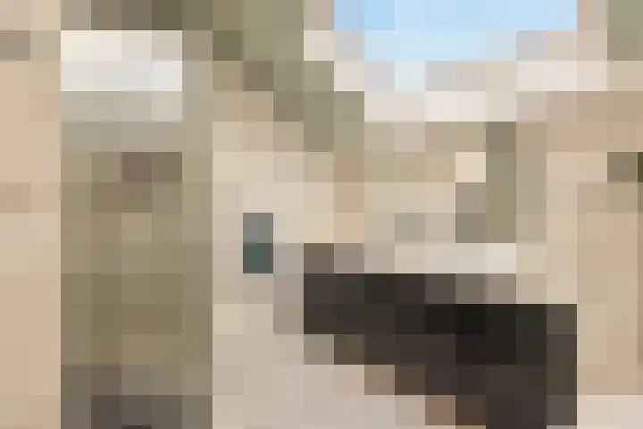 Horstlaan 26 Almelo thumbnail 34