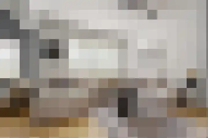 Horstlaan 26 Almelo thumbnail 4