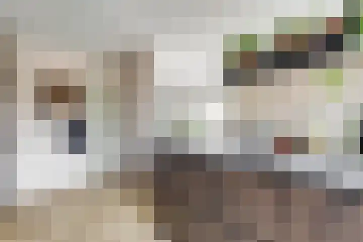 Horstlaan 26 Almelo thumbnail 9
