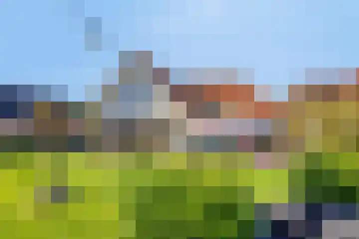 Horstlaan 3 Elsloo