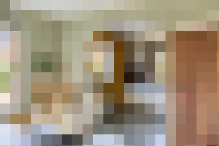 Horstlaan 3 Elsloo thumbnail 15